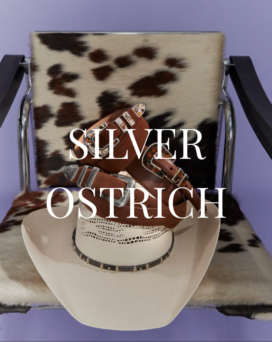 Silver Ostrich