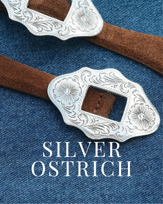 Silver Ostrich