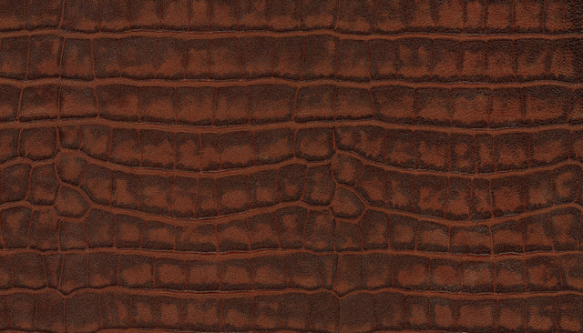 bobi croco cigar