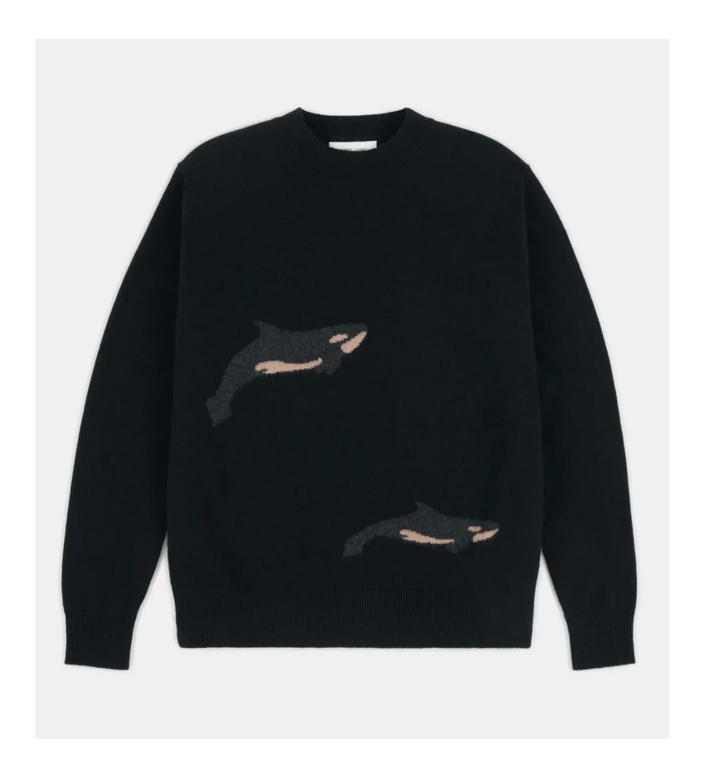 Pull Leret Leret Orca | Podiums Nancy