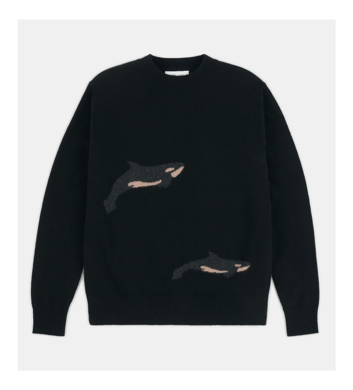 Pull Leret Leret Orca | Podiums Nancy