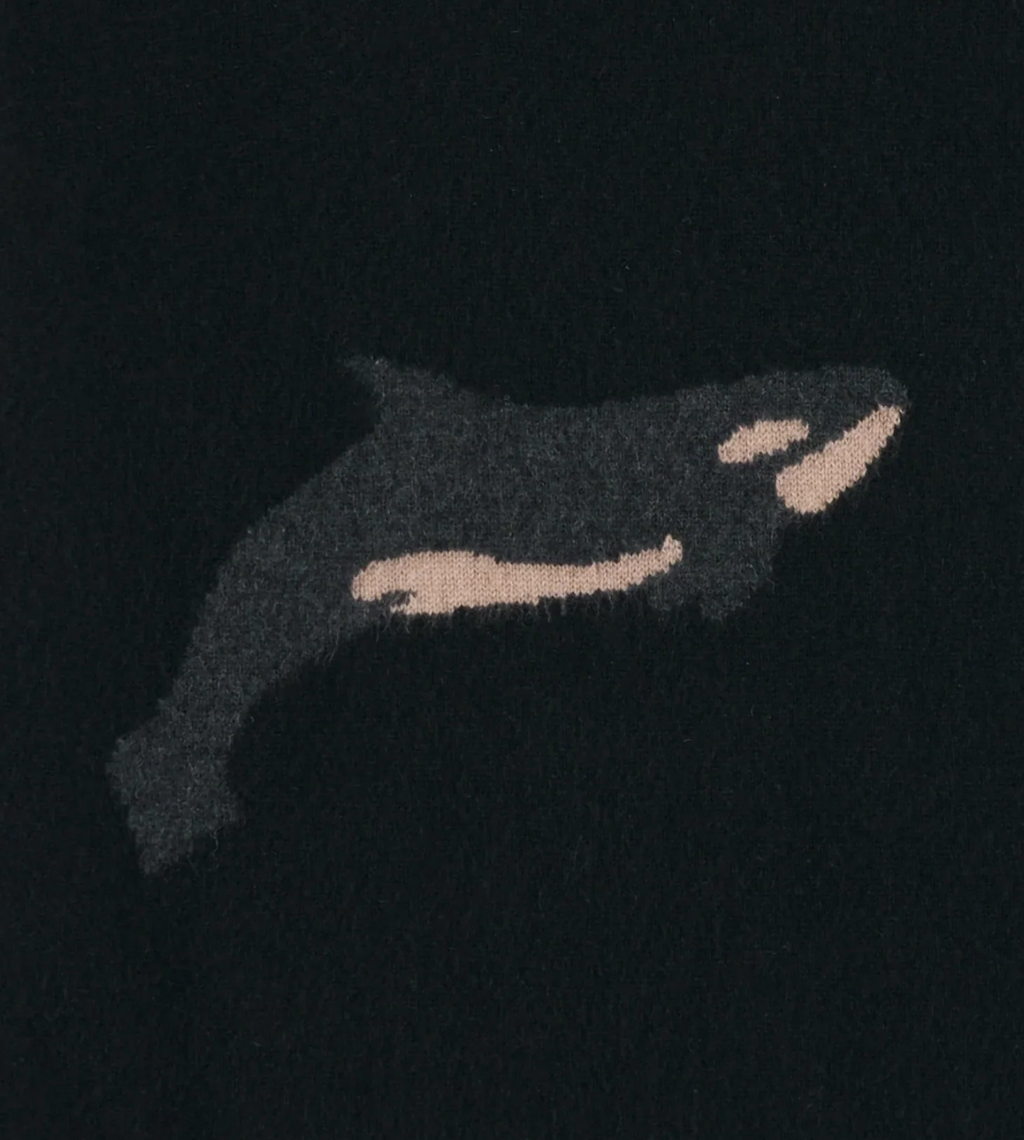 Pull Leret Leret Orca | Podiums Nancy