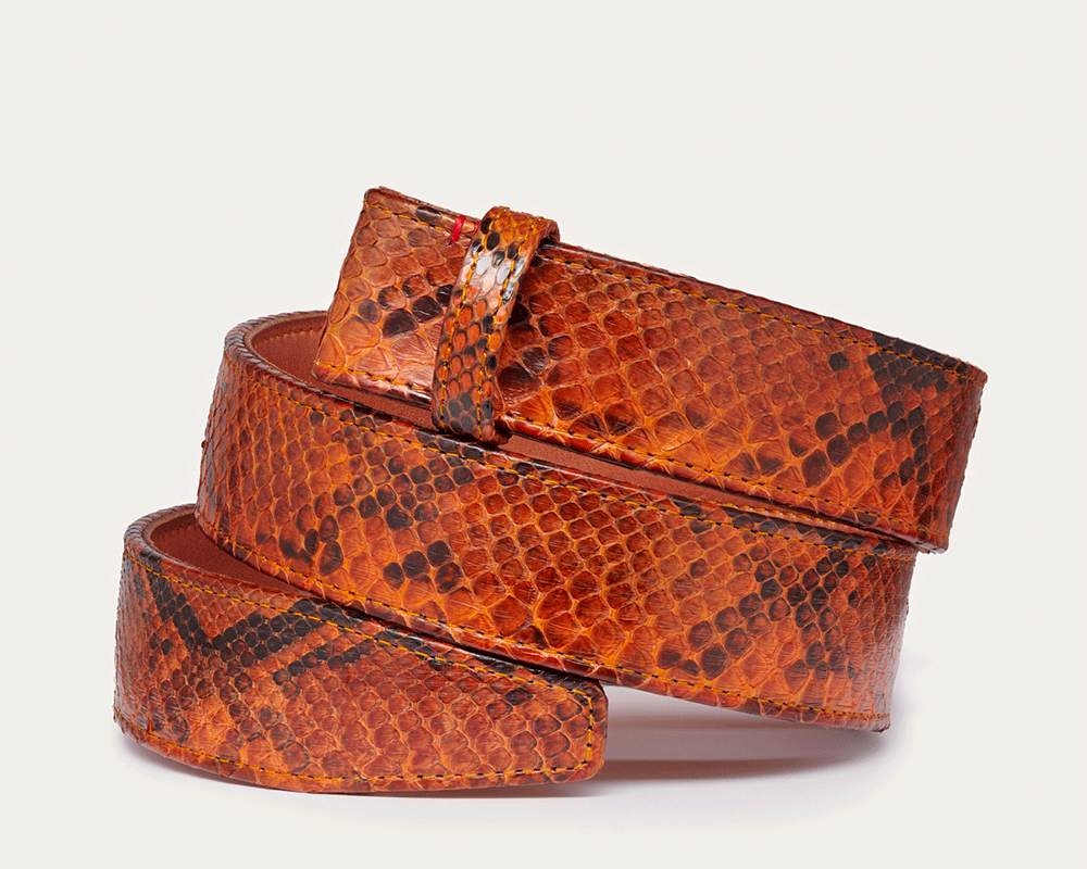 Ceinture Claris Virot Python Moka | Podiums Nancy 