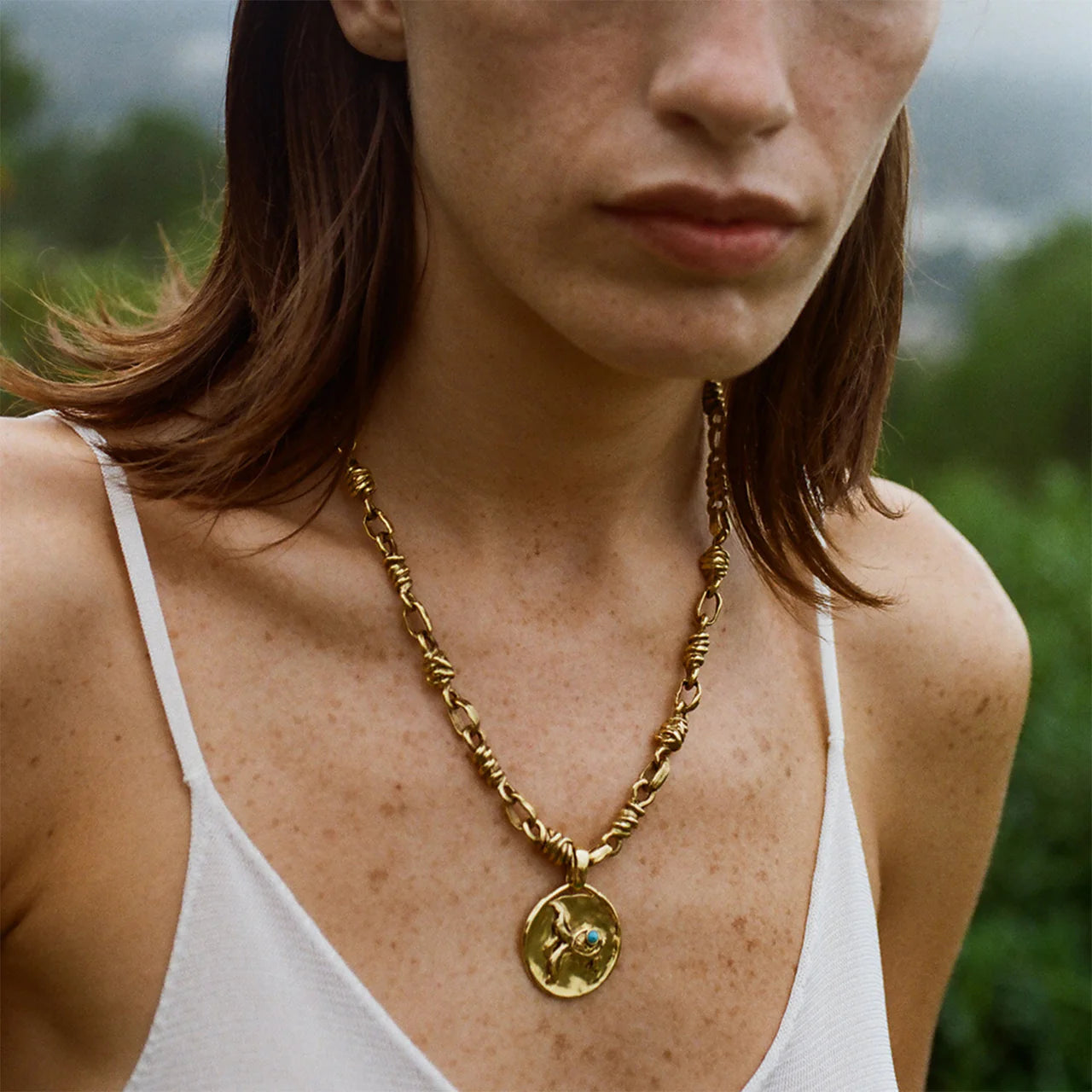 Collier Goossens Poisson Astro