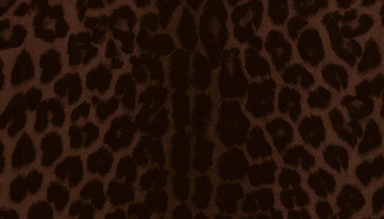 Jérôme Dreyfuss Léopard Naturel | Podiums Nancy