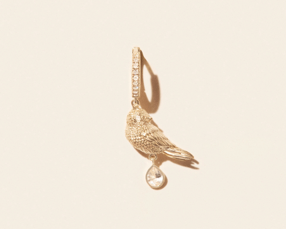 Créole Pascale Monvoisin Palerme bird